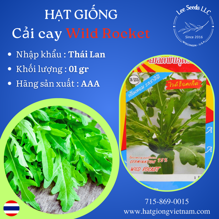 HẠT GIỐNG CẢI CAY WILD ROCKET [ AAA THÁI ]