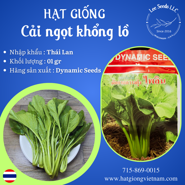 HẠT GIỐNG CẢI NGỌT KHỔNG LỒ [ DYNAMIC SEEDS THÁI LAN ]