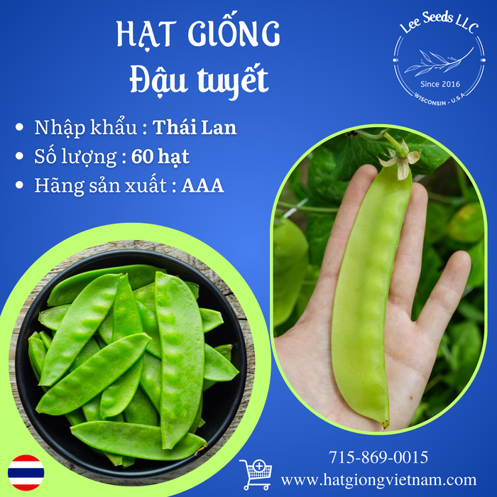 Hạt Giống Đậu Tuyết [ AAA - Thái Lan ]