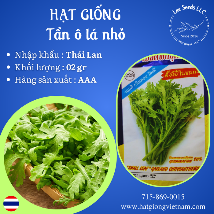 HẠT GIỐNG TẦN Ô LÁ NHỎ [ AAA THÁI LAN ]