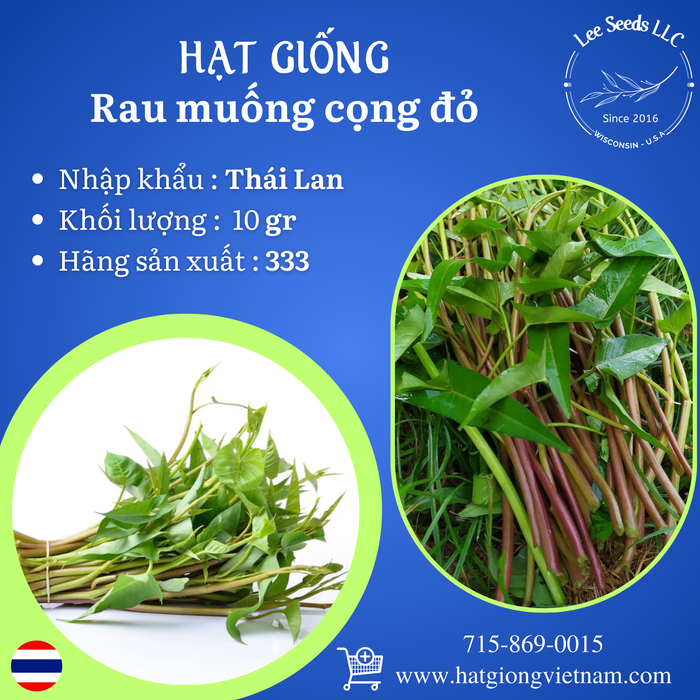 Rau muống Thái cọng đỏ - GÓI 10 GAM [ 333 Seeds - Thái Lan ]