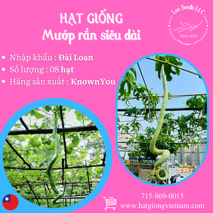 Mướp Rắn Siêu Dài [ Special Long - KNOWN YOU SEEDS - ĐÀI LOAN ]