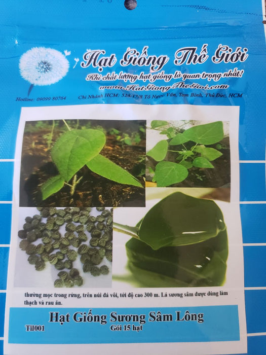 Hạt giống Sương Sâm Lông