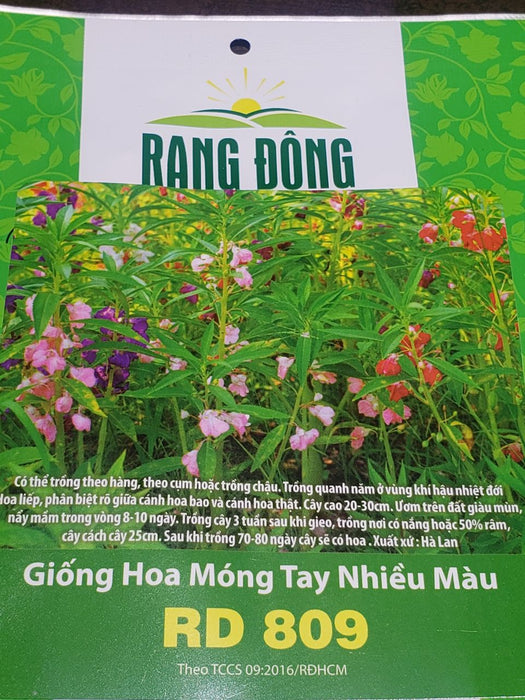 Hoa Móng Tay Nhiều Màu