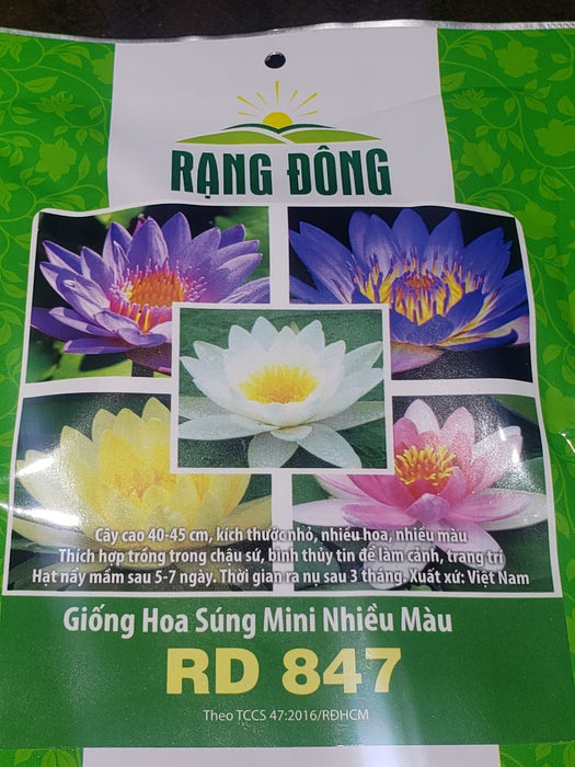 Hoa Súng Mini Nhiều Màu RADO 847