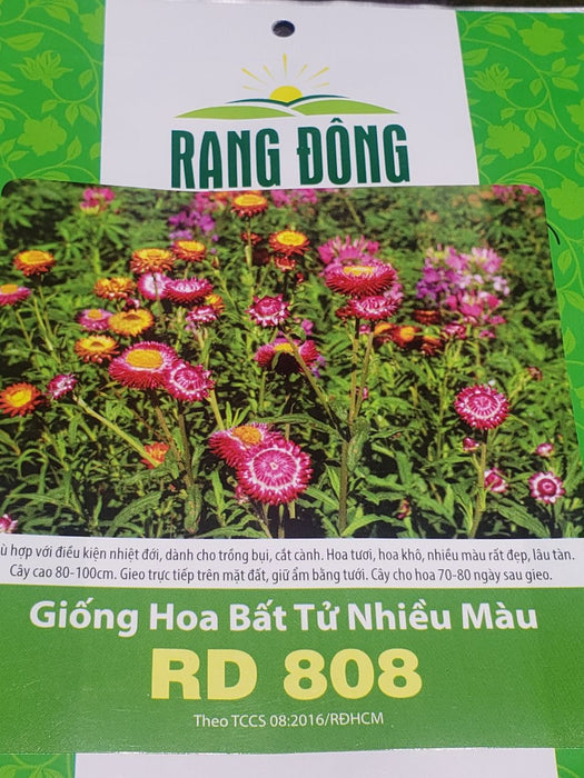 Hoa Bất Tử Nhiều Màu