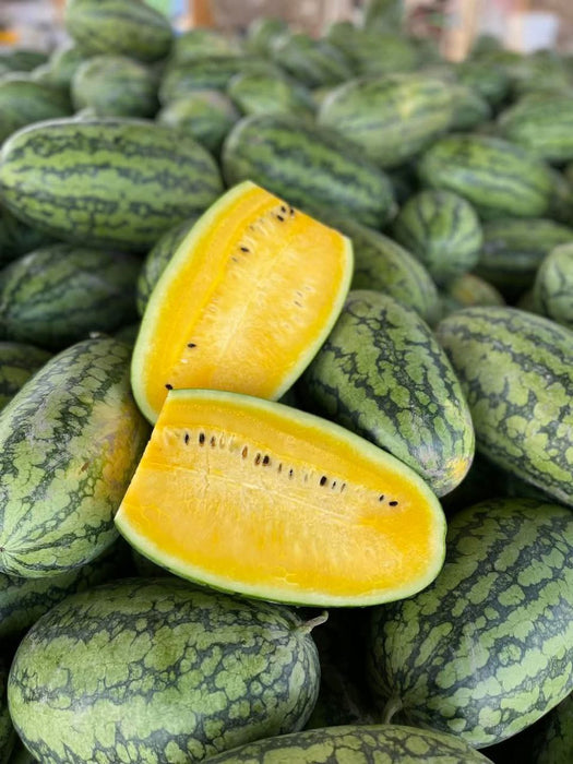 Hạt Giống Dưa Hấu Ruột Vàng Ít Hạt [ E-W Seeds - Thái Lan ]