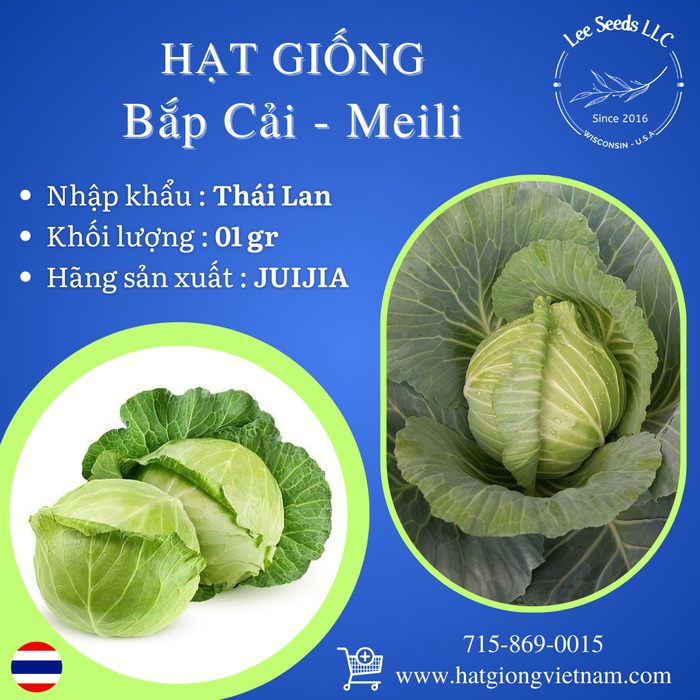 Hạt Giống Bắp Cải MEILI [ JUIJIA - Thái Lan ]