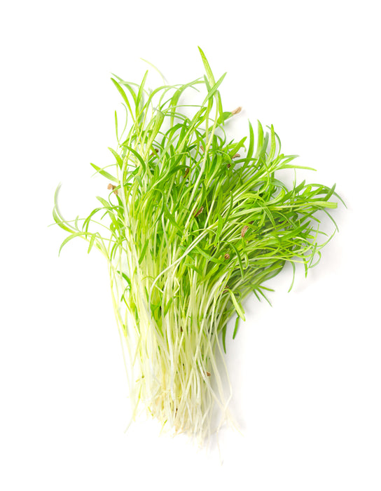 Rau mầm Carrot [ 100gr ]
