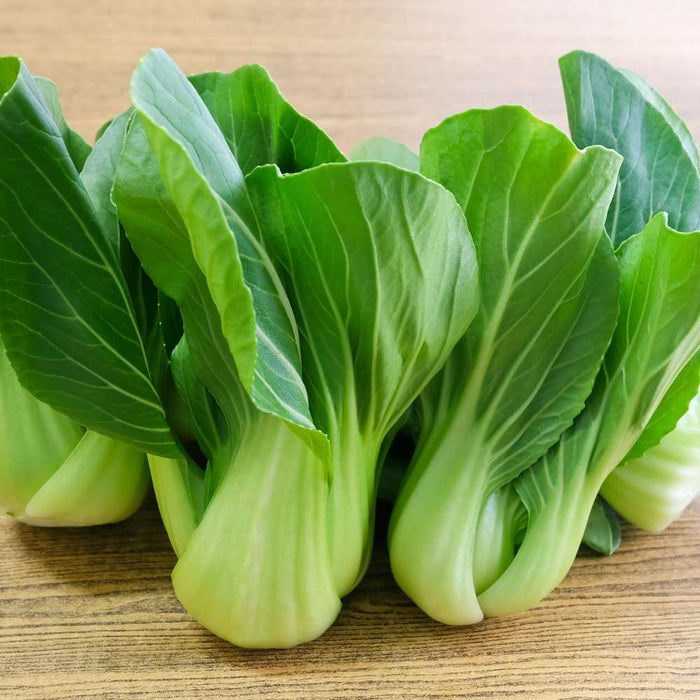 Cải Thìa Bẹ To [ E-W Seeds - Thái Lan ]