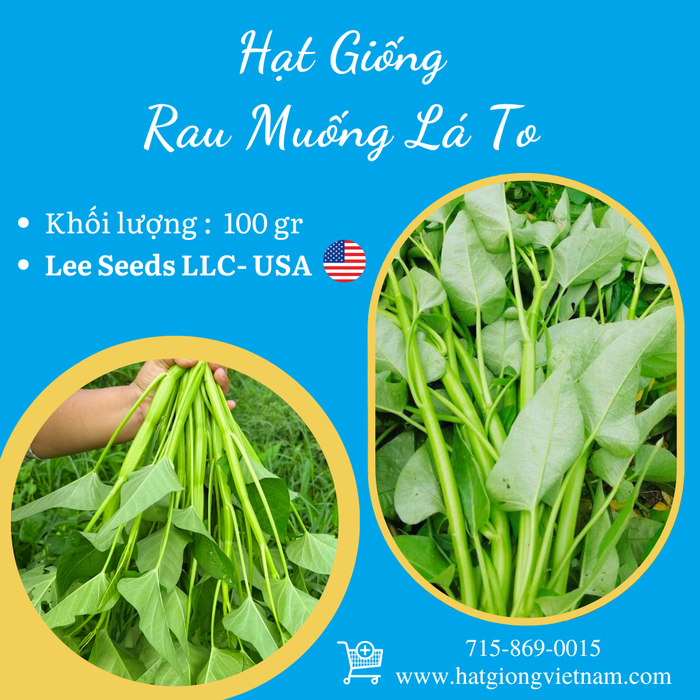 Rau Muống Lá To [ Lee Garden ] - 100gr