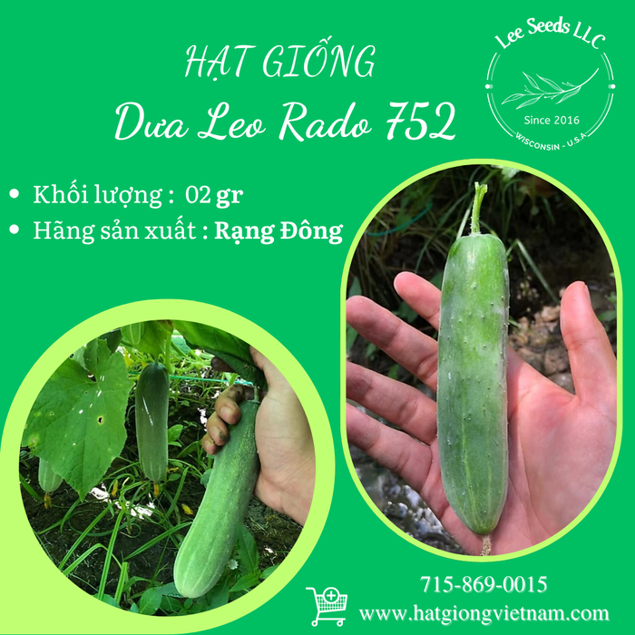 Dưa Leo RD 752