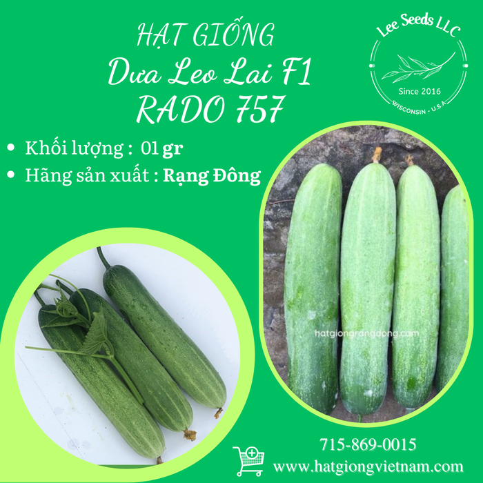 Dưa leo lai F1 Rado 757 [ Trái Dài ]
