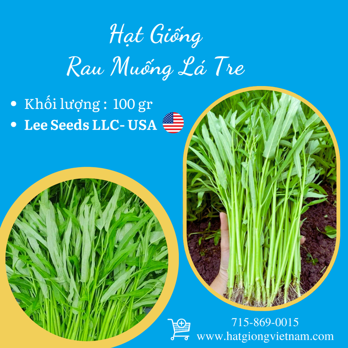 Rau Muống Lá Tre [ Lee Garden ] - 100gr