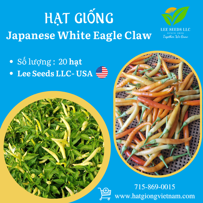 Japanese White Eagle Claw Chilli