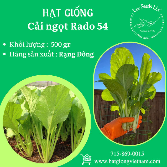 Cải Ngọt [ Rado 54 ] 500gr