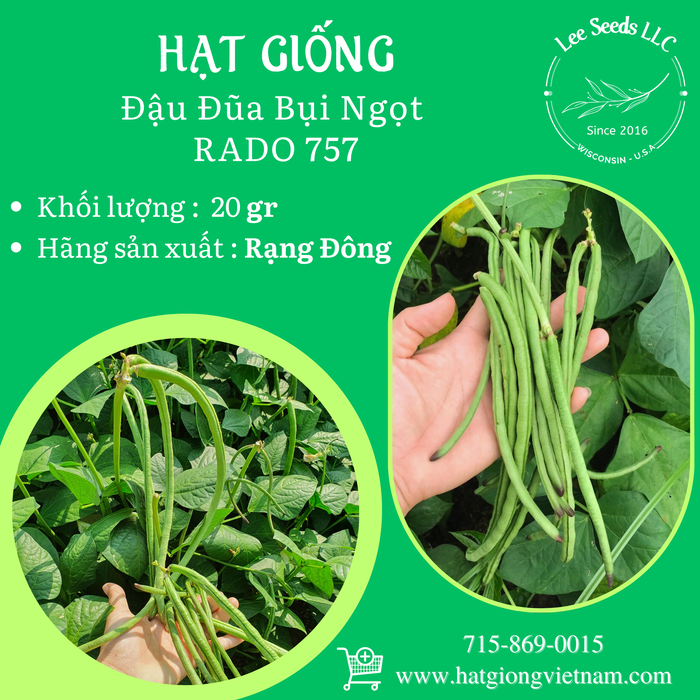 Đậu Đũa Bụi Ngọt RADO 757