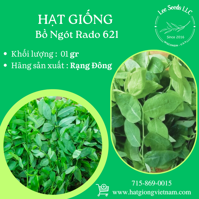 Bồ ngót RADO 621