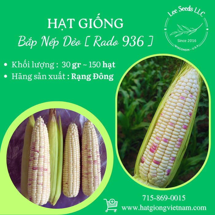 Bắp Nếp Dẻo RADO 936 GÓI 30GR 150 HẠT