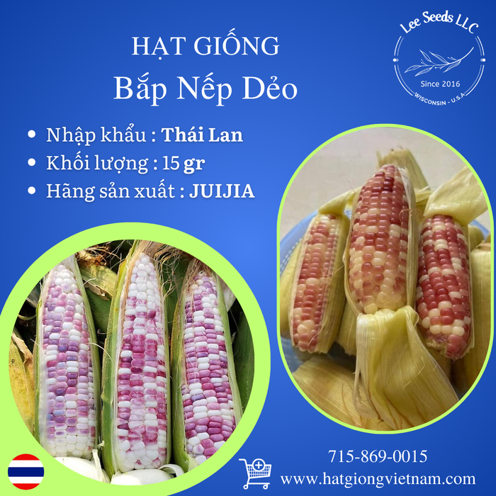 Bắp Nếp Dẻo Đốm Tím [ JUIJIA - Thái Lan ]