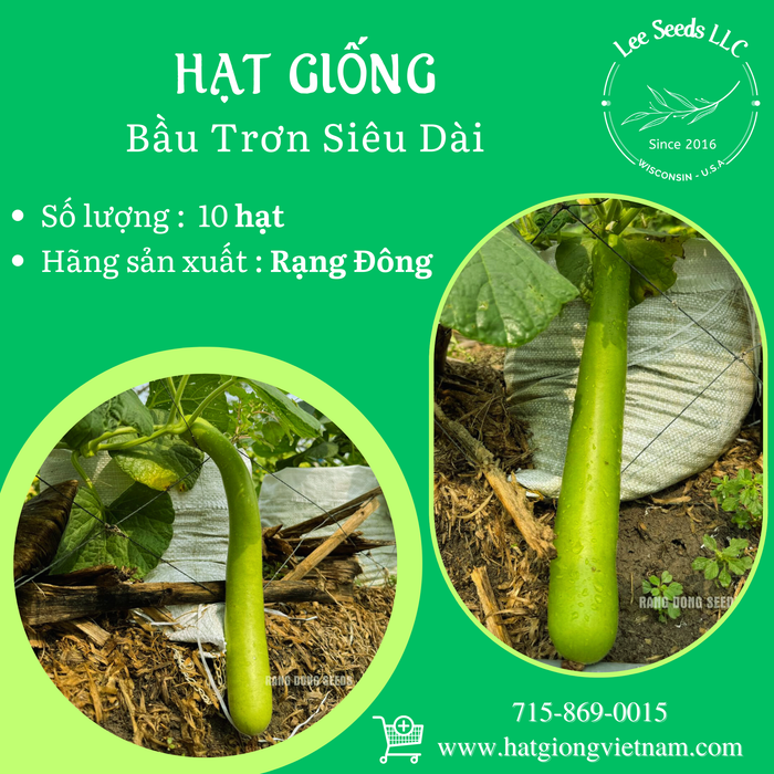 Bầu trơn siêu dài - GÓI 10 HẠT RẠNG ĐÔNG.