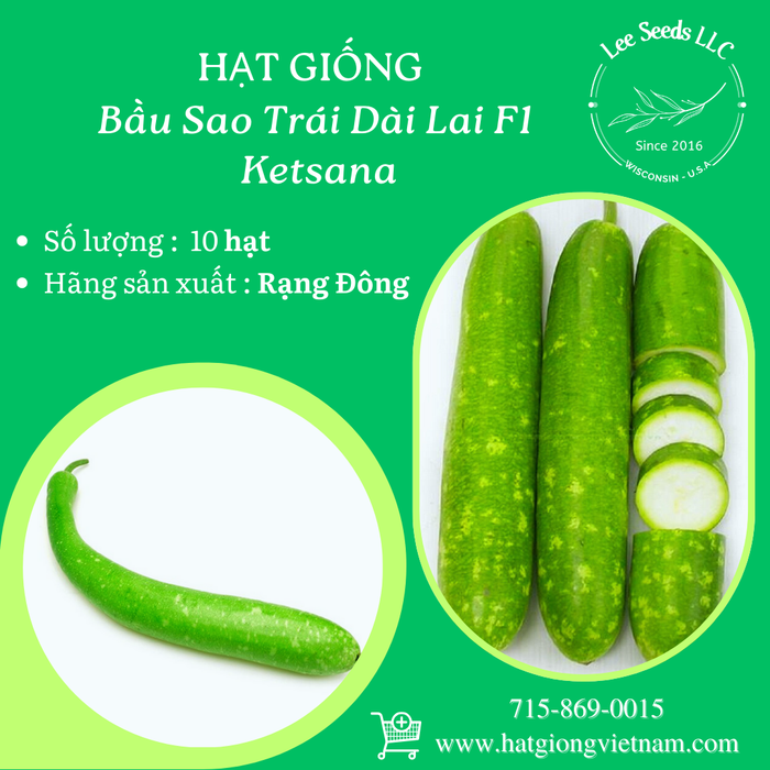 Bầu Sao Trái Dài lai F1 Ketsana