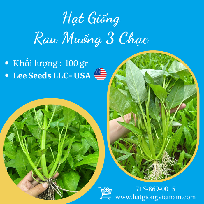 Rau Muống Ba Chạc [ 100gr ]