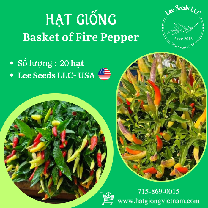 Basket of Fire Pepper