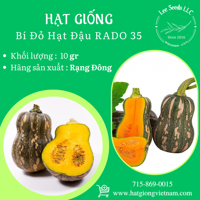 Bí đỏ hạt đậu RADO 35