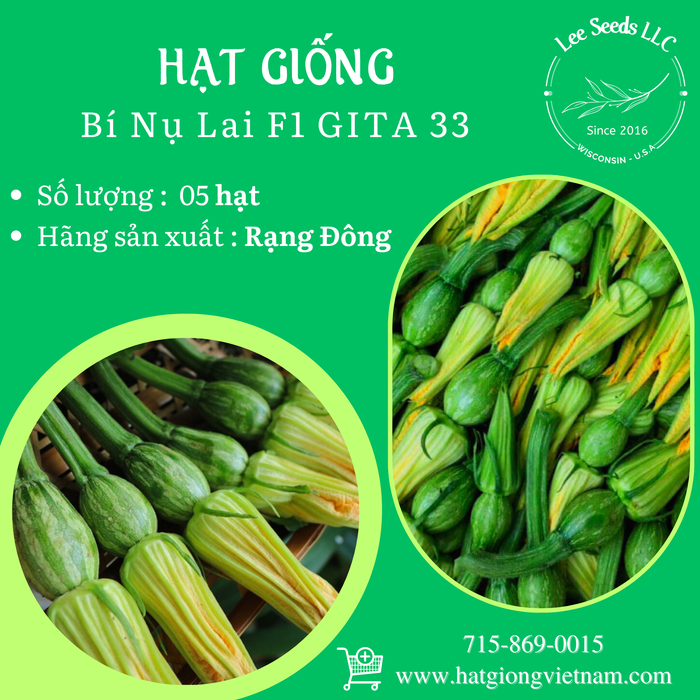 Bí Nụ Lai F1 GITA 33