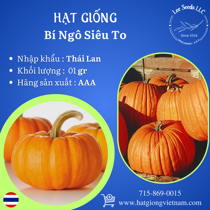 Hạt Giống Bí Ngô Siêu To [ AAA - Thái Lan ]