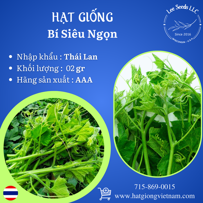 Hạt Giống Bí Siêu Ngọn [ AAA - Thái Lan ]