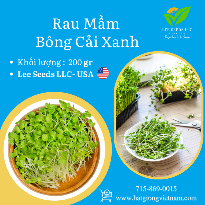 Rau mầm Bông Cải - Broccoli [ 200gr ]