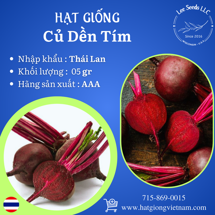 Hạt Giống Củ Dền Tím [ AAA - Thái Lan ]