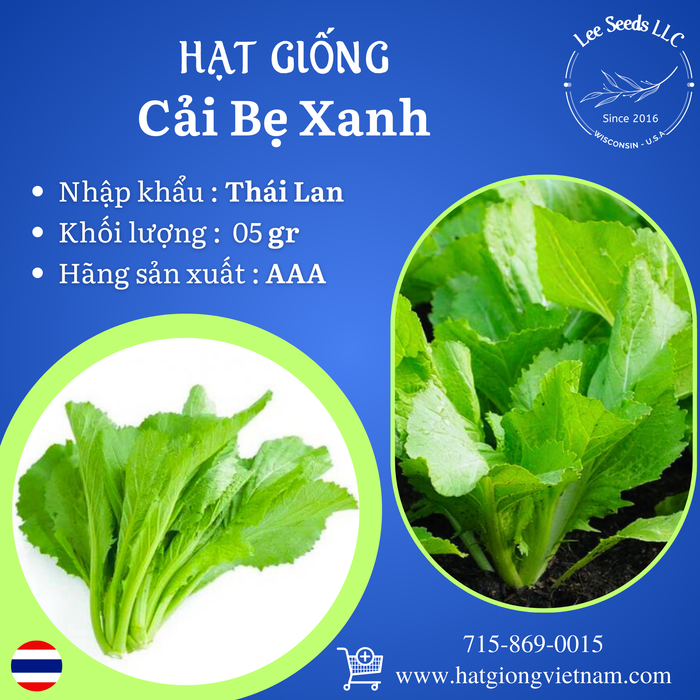 Hạt Giống Cải Bẹ Xanh [ AAA - Thái Lan ]