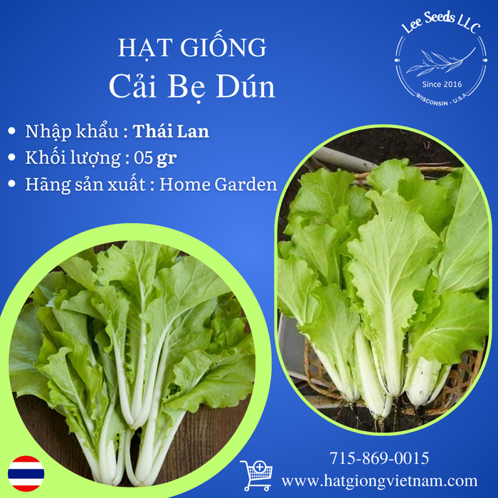 Hạt Giống Cải Bẹ Dún [ Home Garden - Thái Lan ]