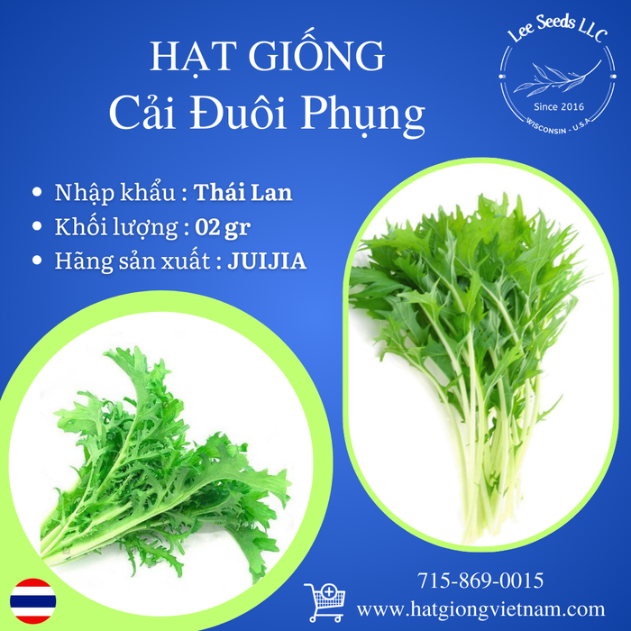 Cải Đuôi Phụng [ JUIJIA - Thái Lan ]