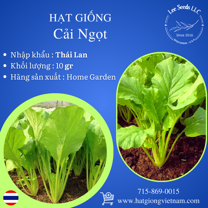 Hạt Giống Cải Ngọt [ Home Garden - Thái Lan ]