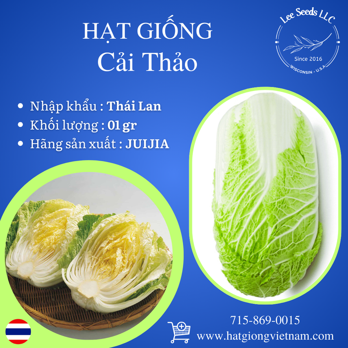 Cải Thảo [ JUIJIA - Thái Lan ]