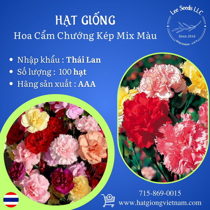 Hạt Giống Hoa Cẩm Chướng Kép Mix Màu [ AAA - Thái Lan ]