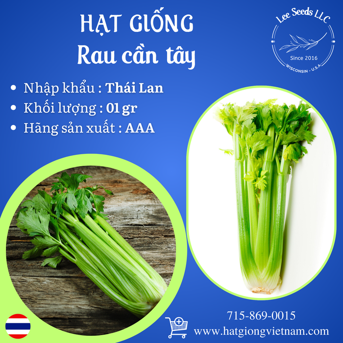 Hạt Giống Rau Cần Tây [ AAA - Thái Lan ]