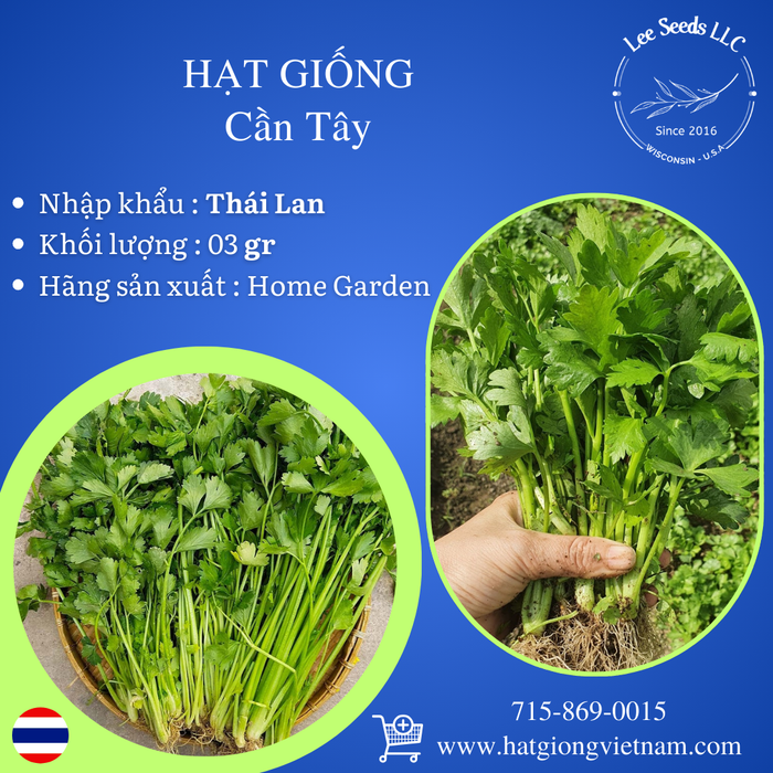 Hạt Giống Cần Tây [ Home Garden - Thái Lan ]