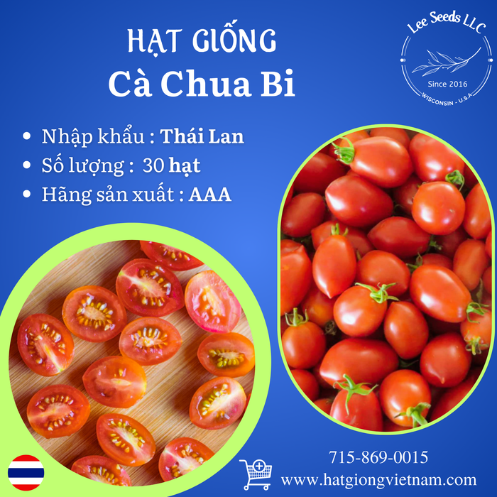 Hạt Giống Cà Chua Bi [ AAA - Thái Lan ]