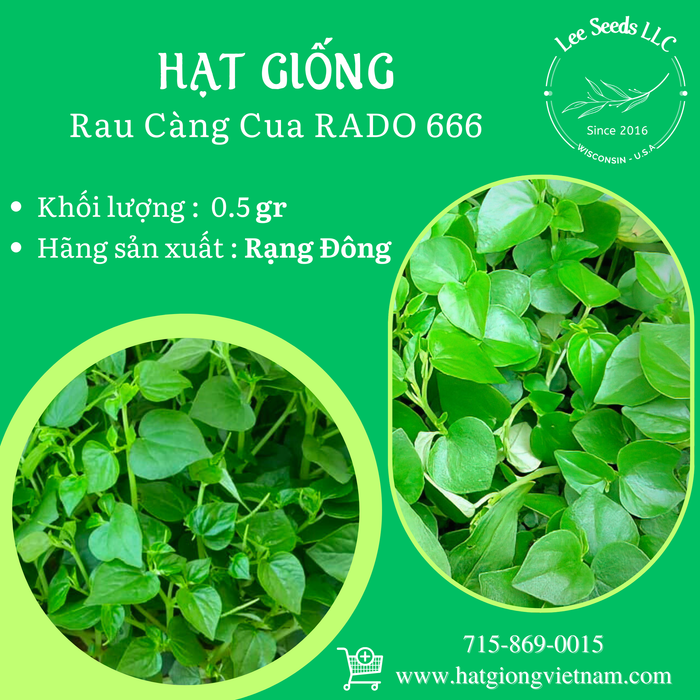 Rau Càng Cua RADO 666