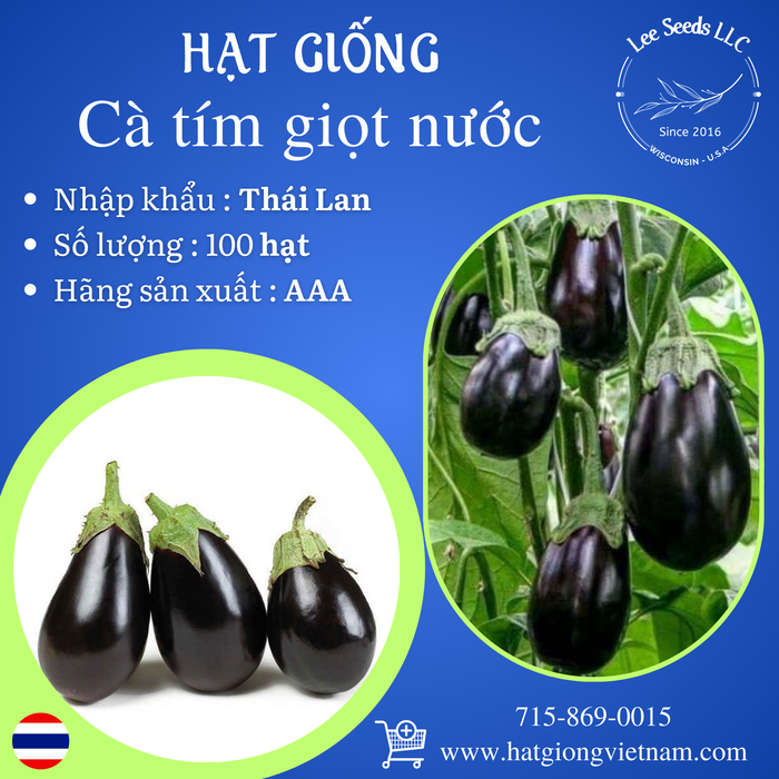 Hạt Giống Cà Tím Giọt Nước [ AAA - Thái Lan ]