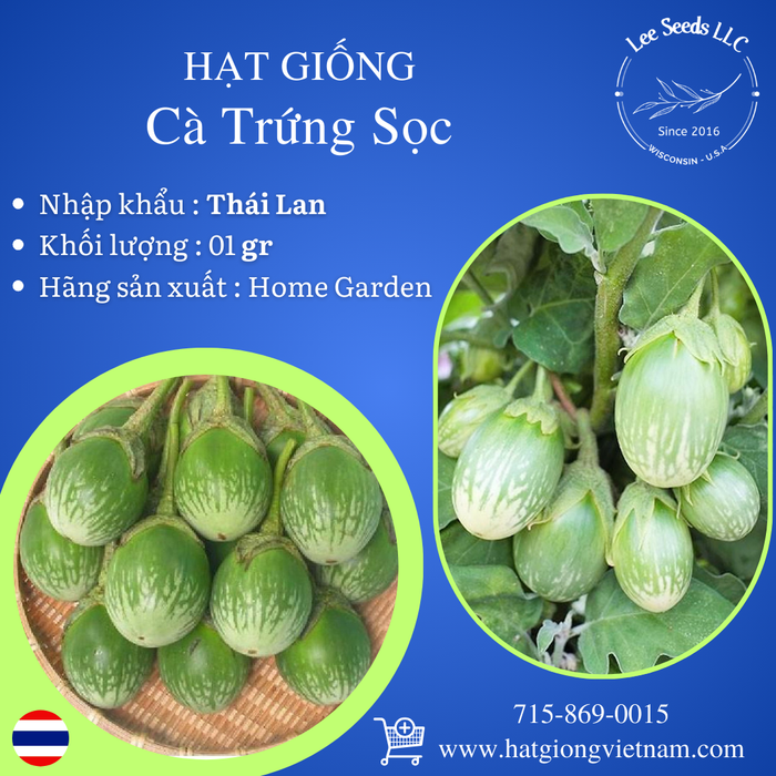 Hạt Giống Cà Trứng Sọc [ Home Garden - Thái Lan ]