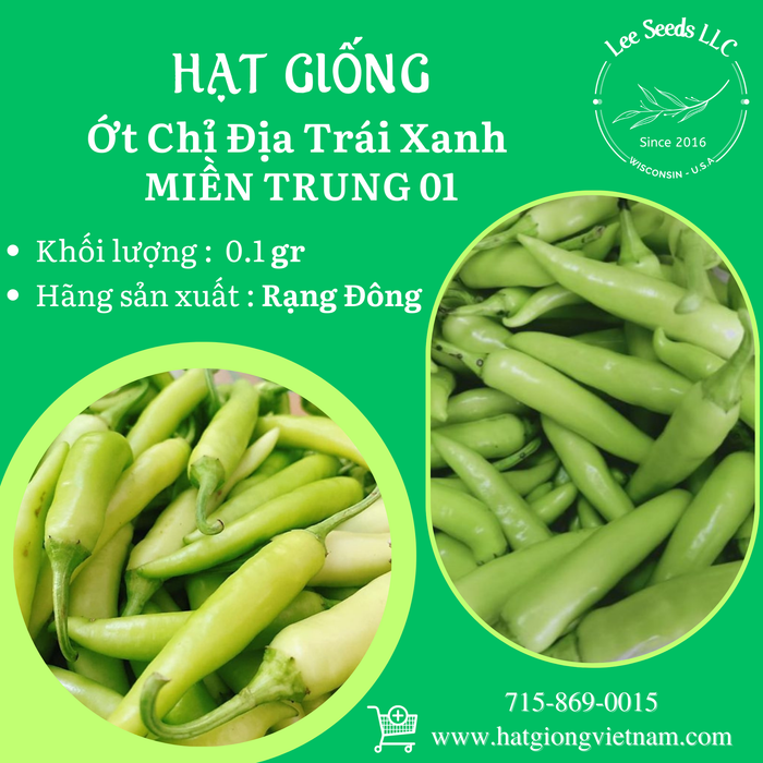 Ớt Chỉ Địa Trái Xanh MIỀN TRUNG 01