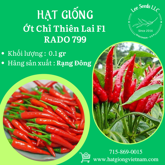 Ớt Chỉ Thiên Lai F1 RADO 799