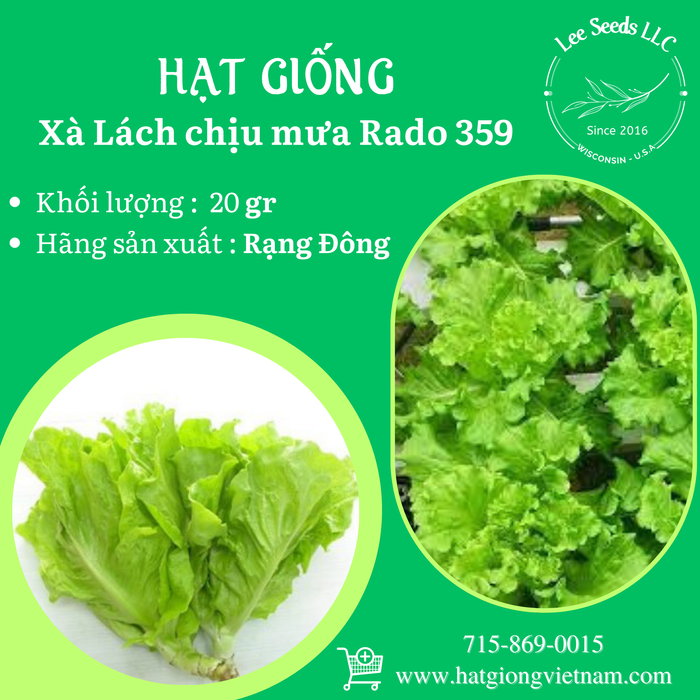 Xà Lách Chịu Mưa RADO 359