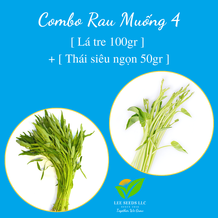 COMBO 4 : [ Thái siêu ngọn 50gr ] + [ Lá tre 100gr ]